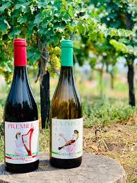 coddretto wines