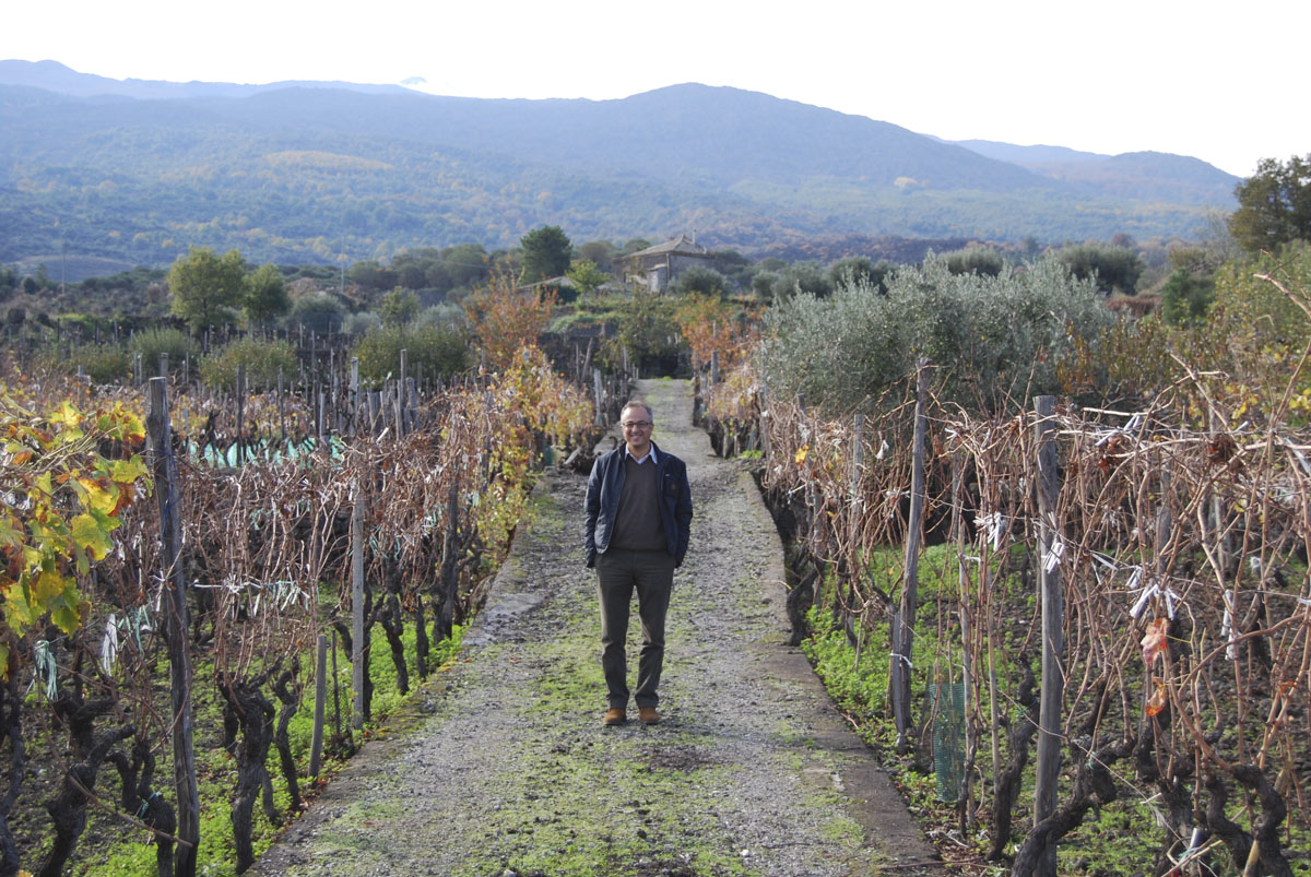 Pietro caciorgna wineyard etna sicily
