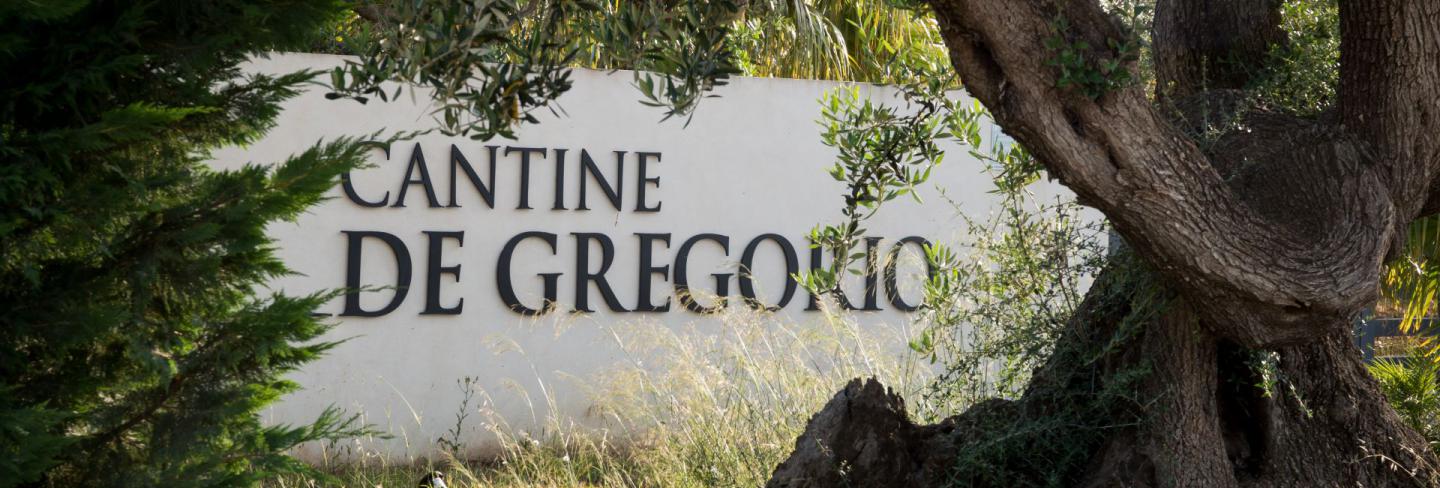 vini cantine De Gregorio Sicily sciacca