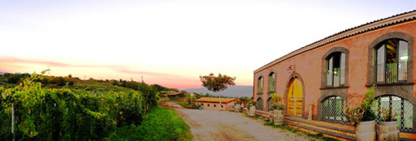 Tenuta delle Terre Nere Winery